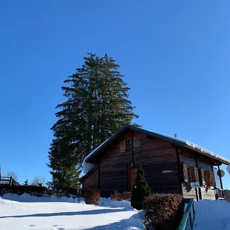 Hébergement de vacances Du Bois Joli Saint-Laurent-en-Grandvaux